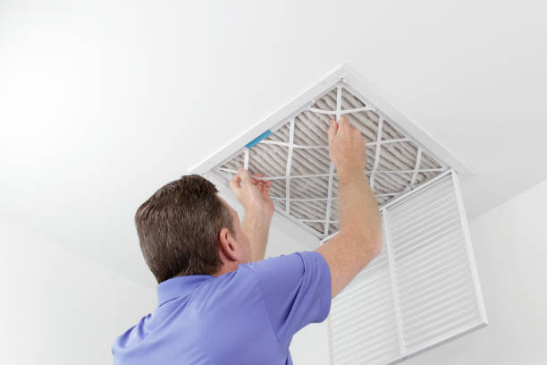 Air Duct Mold Removal in Robertsdale, AL
